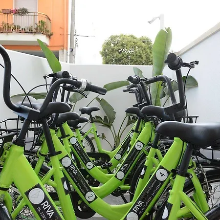 Riva 33 Porto Cesareo