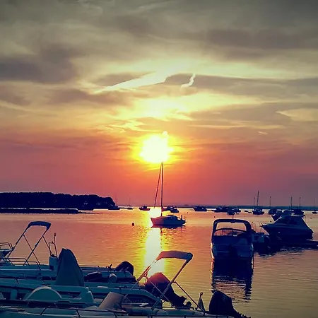 Riva 33 切萨雷奥港