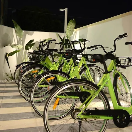 Bed and Breakfast Riva 33 4*